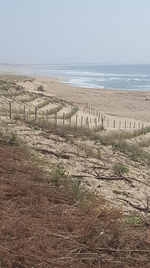 Beach nearby, sun-loungers