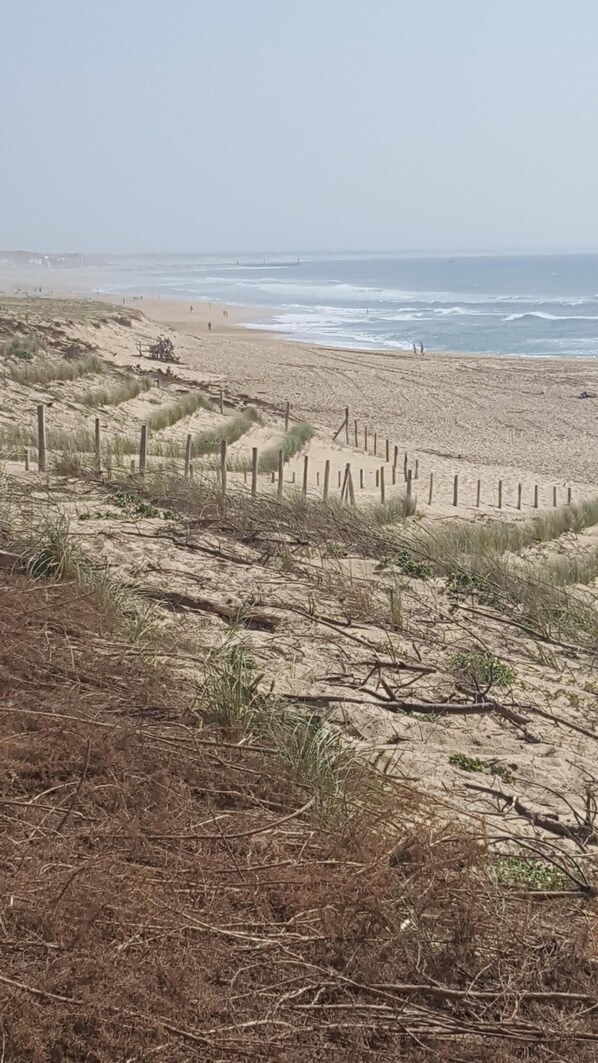 Beach nearby, sun loungers - HOSSEGOR basco landaise house near lake, center and beaches (Soorts-Hossegor)