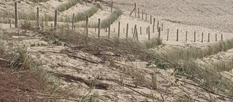 HOSSEGOR basco landaise house near lake, center and beaches