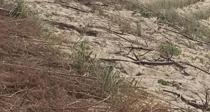 HOSSEGOR basco landaise house near lake, center and beaches