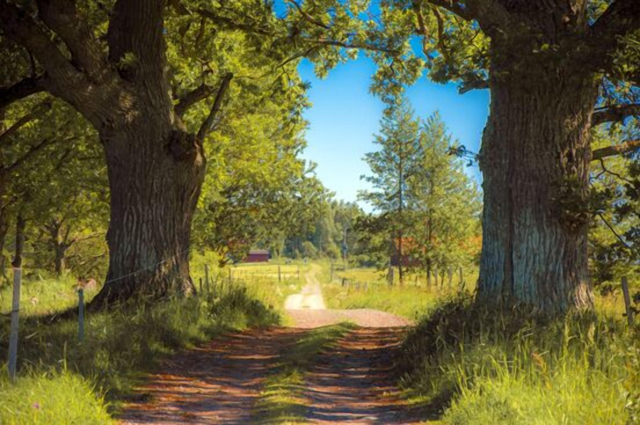 A living and family-friendly idyll in the middle of the archipelago