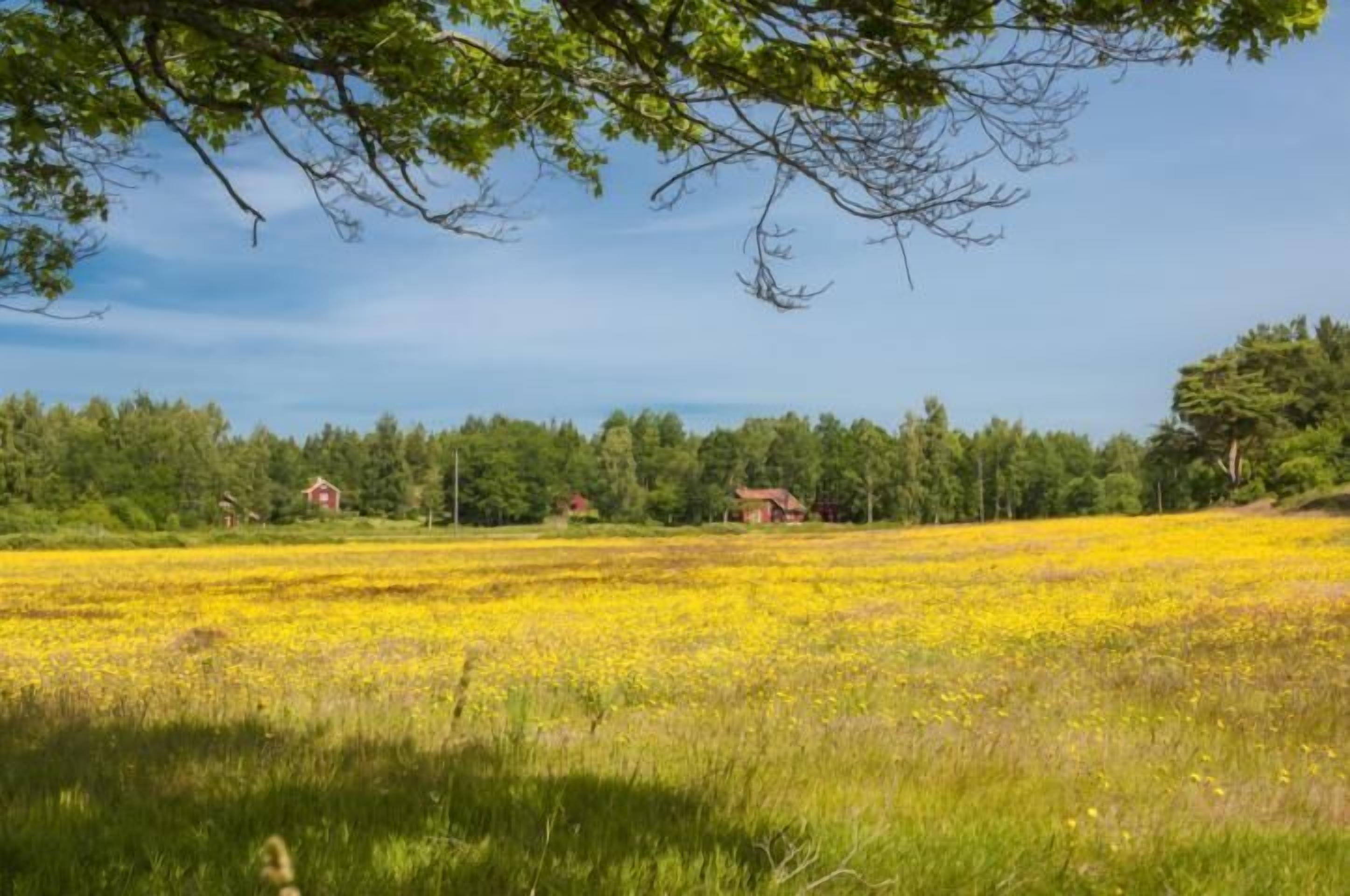 A living and family-friendly idyll in the middle of the archipelago