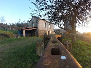 Esterni