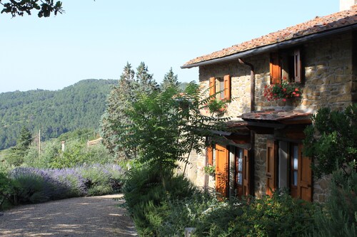 Belle ferme toscane entièrement restaurée avec 