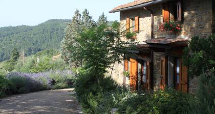 Belle ferme toscane entiÚrement restaurée avec