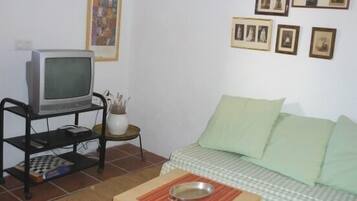 Televisión, chimenea, reproductor de DVD y libros