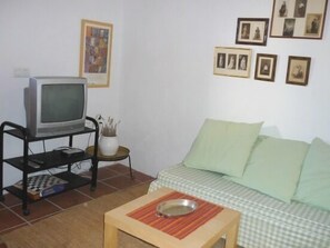 Una televisión, una chimenea, un reproductor de DVD, libros