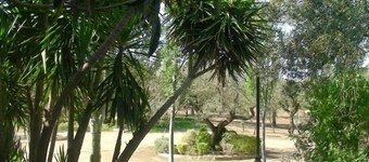 Ferienhaus Dehesa Tres Riveros für 6 personen