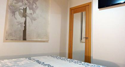 CENTRAL APARTMENT (Optional parking in the same building)