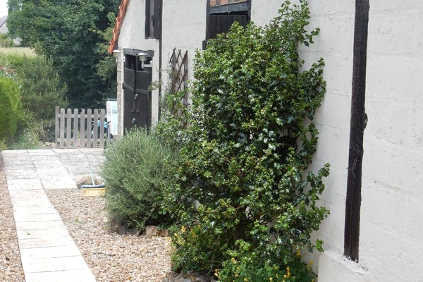 Detalle del exterior