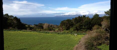 Vista da janela com um campo gramado, árvores e um corpo d'água ao longe.
