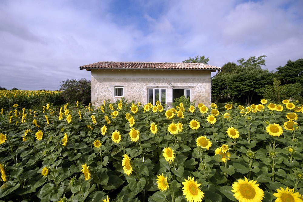 Exceptional site for those who love the countryside, nature, calm, peace