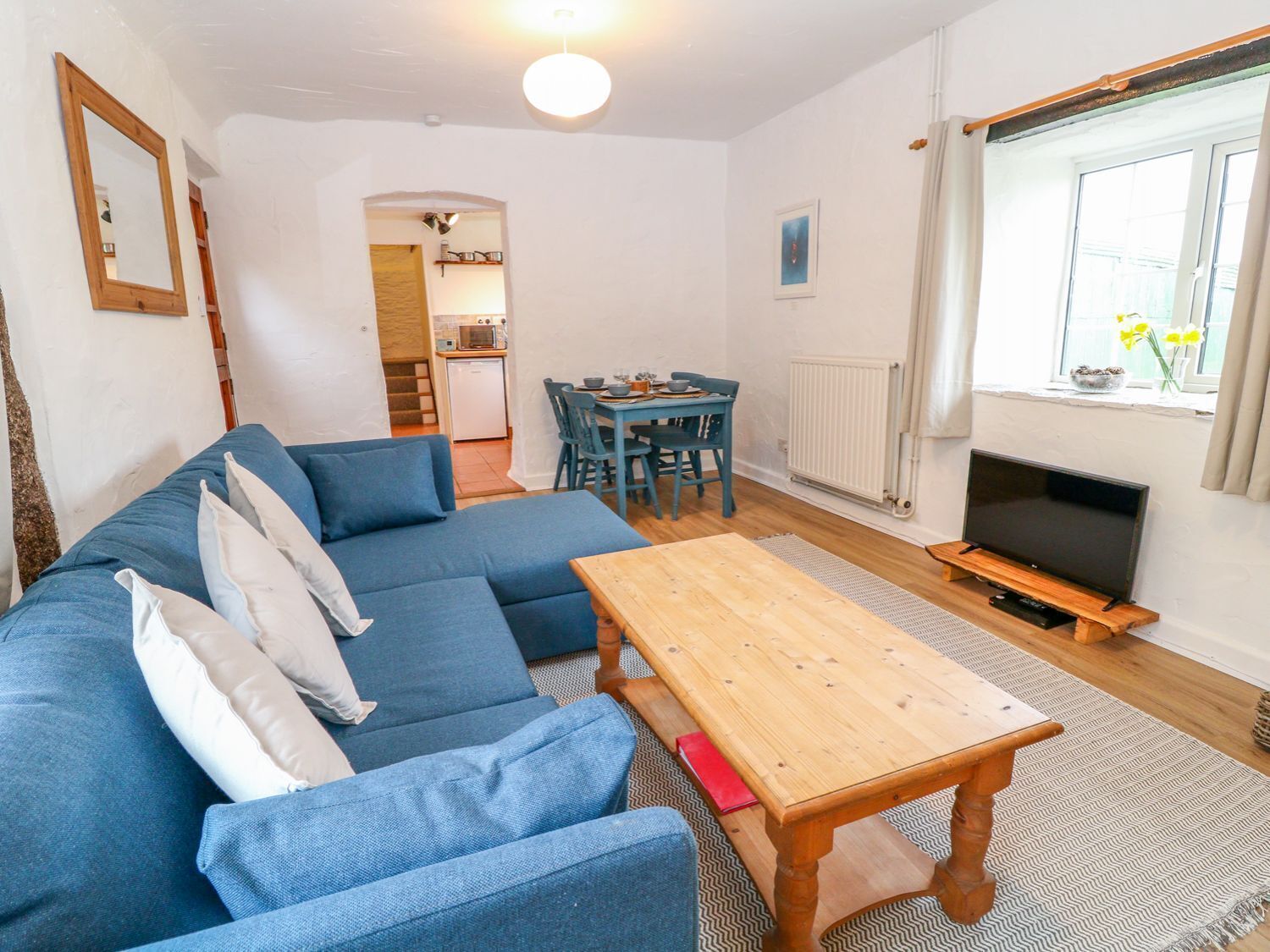 Télévision, cheminée, lecteur de DVD, livres