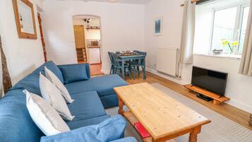 Télévision, cheminée, lecteur de DVD, livres