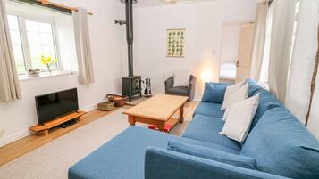 TV, fireplace, DVD player, books