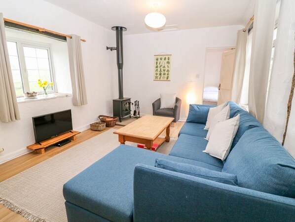 TV, fireplace, DVD player, books