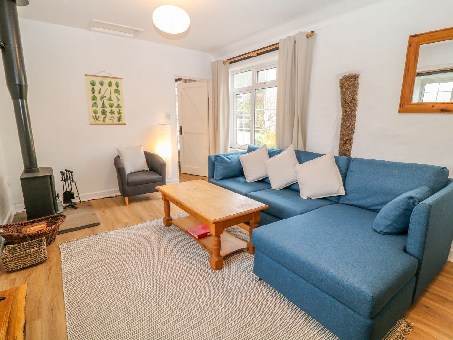 Télévision, cheminée, lecteur de DVD, livres