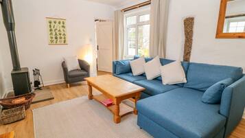 TV, fireplace, DVD player, books