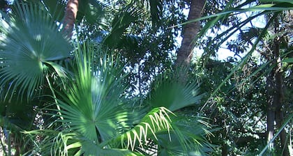 Manoir avec grand jardin tropical