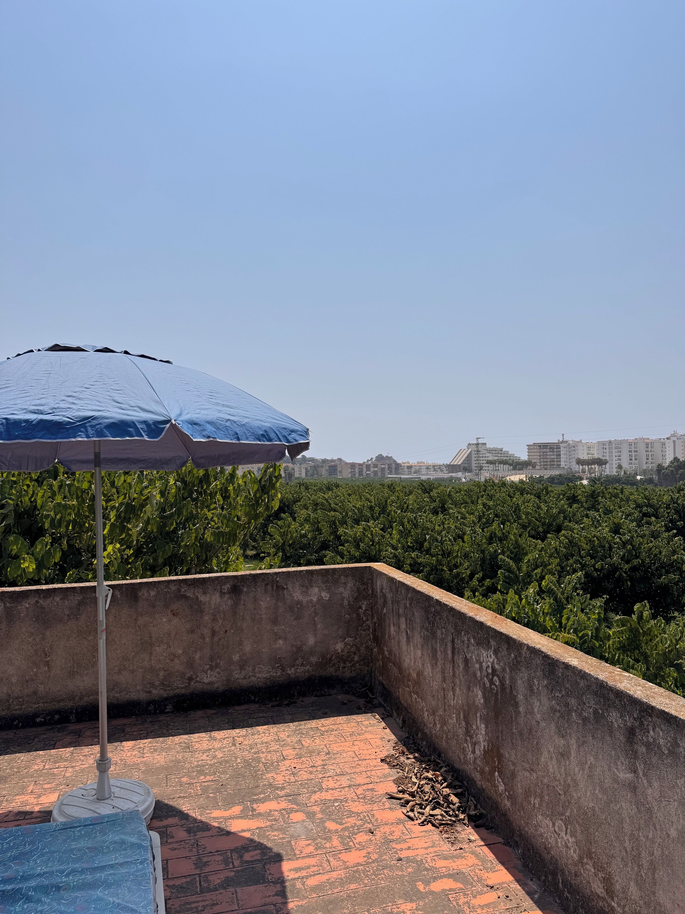 Een dakterras met een blauwe parasol, een betonnen muur en een uitzicht op een stadslandschap.