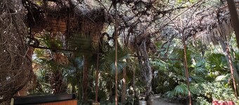 Manor house with large tropical garden, swimming pool and spectacular views.