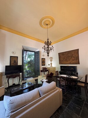 TV, fireplace, books, stereo