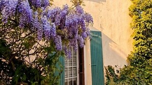 A building with a traditional facade, a window with shutters, and a gravel driveway. - An Old Mas in Provence, Sun and Swimming Pool (Cabannes)