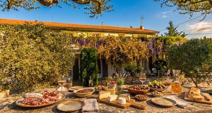 An Old Mas in Provence, Sun and Swimming Pool