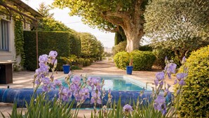 A pool surrounded by lush greenery and flowering plants. - An Old Mas in Provence, Sun and Swimming Pool (Cabannes)