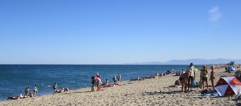 A louer T2- Leucate plage - 1er D- Front de mer