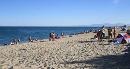 A louer T2- Leucate plage - 1er D- Front de mer