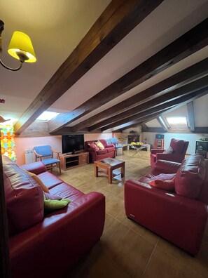 電視、壁爐、DVD 播放機、書籍