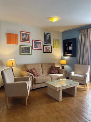 電視、壁爐、DVD 播放機、書籍