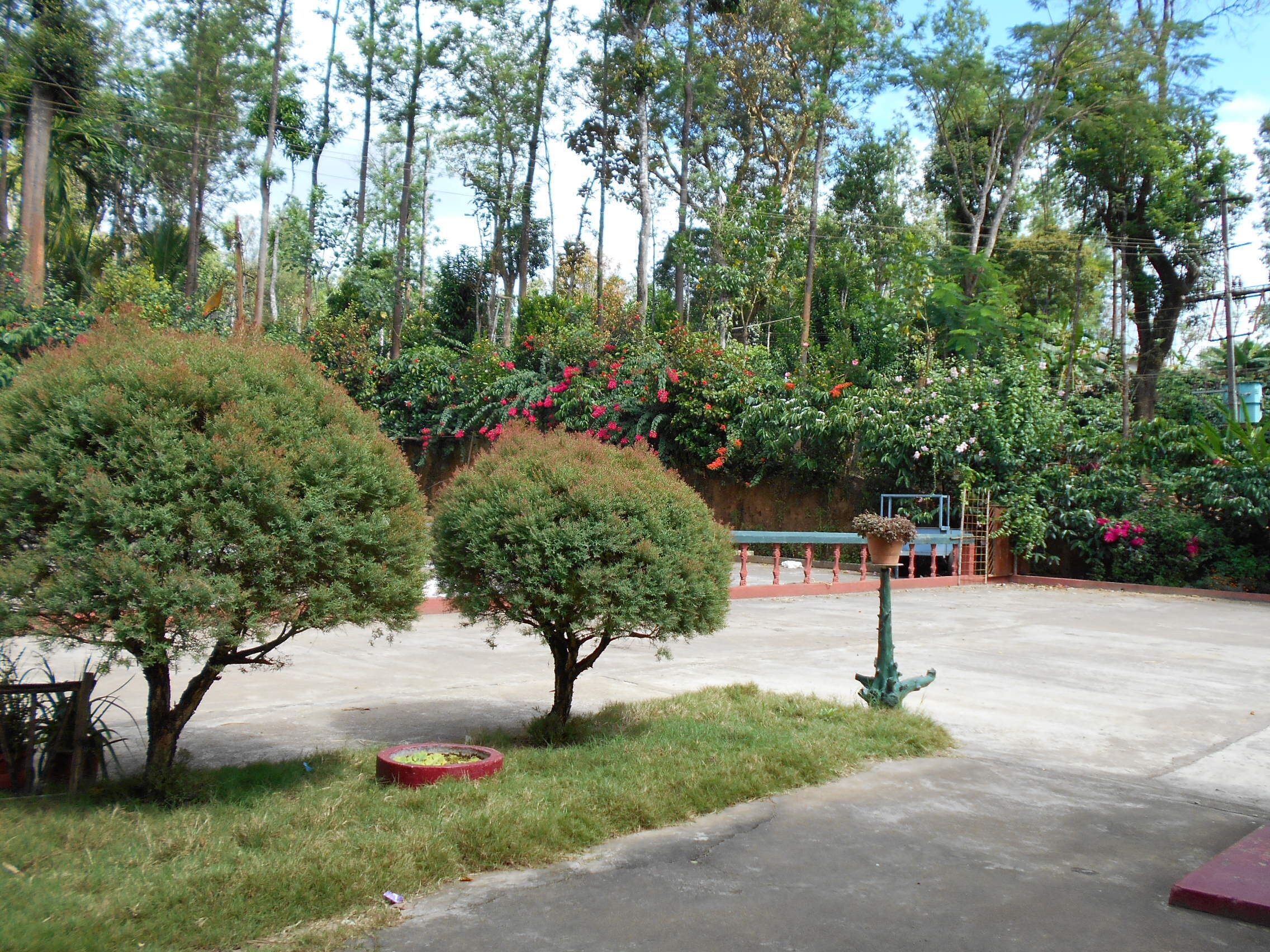 Coffee estate homestays and cottages