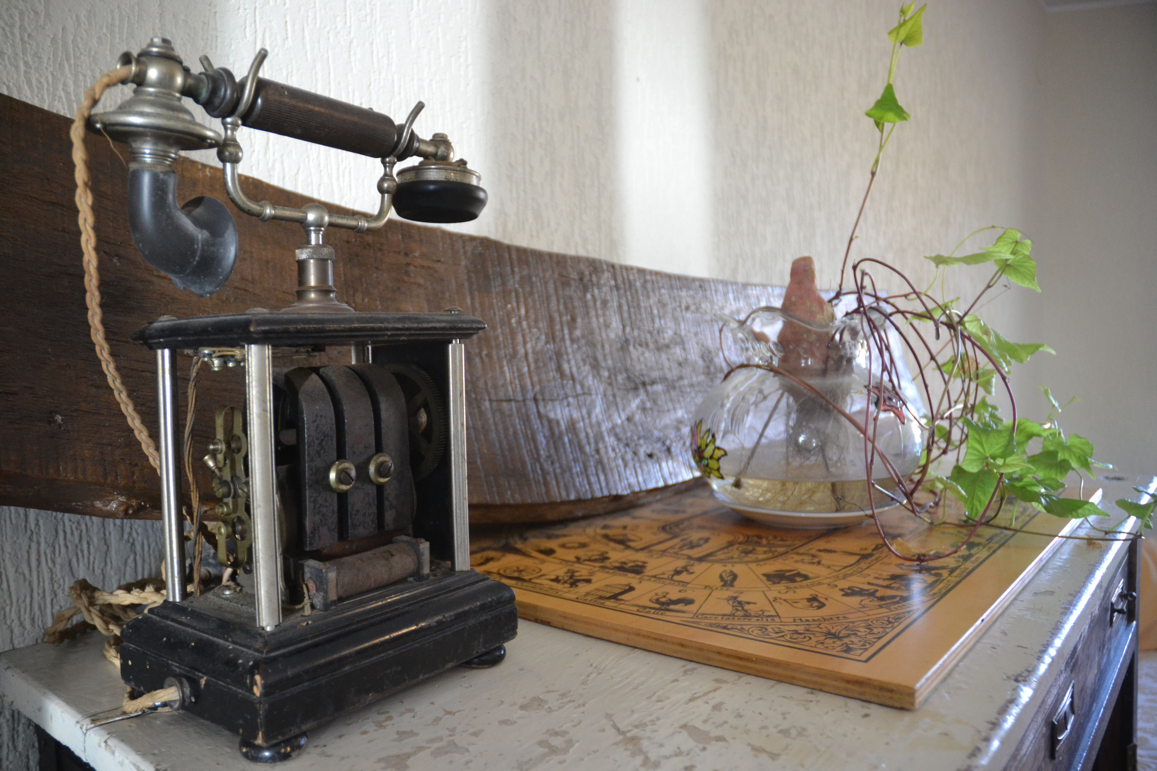 Photo - B&B Antica Botte Sassari