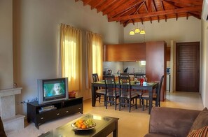 Televisión, chimenea, reproductor de DVD y libros 