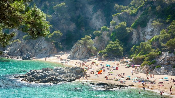 A beach with clear turquoise water, rocky cliffs, and dense greenery. - Fantastic House with Private Pool in Lloret de Mar (Vidreres)