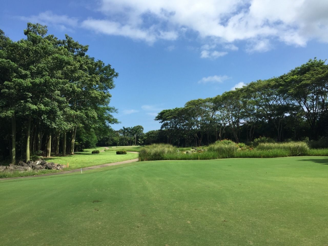 A golf course with a well-maintained green, trees, and a clear sky.