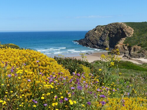 Peaceful Algarve Cottage, Yoga, Pool & Countryside
