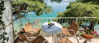 Stone forest villa in small dalmatian village Pisak