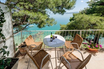 Stone forest villa in small dalmatian village Pisak