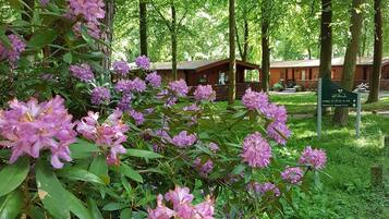 Enceinte de lâhĂ©bergement