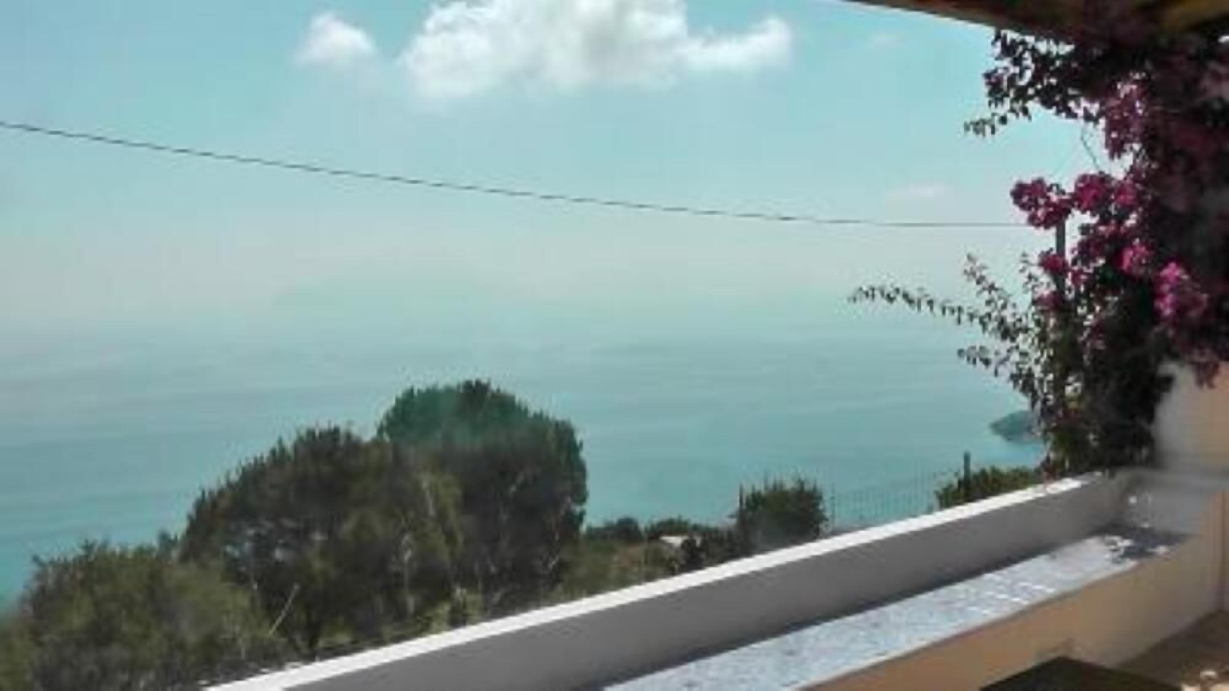 Terrace / Balcony
