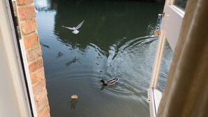 Une vue sur une rivière où nagent des canards, un mur de briques et une porte en bois.