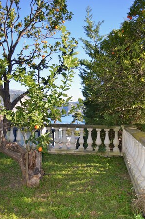 A garden with a tree bearing fruit, a stone balustrade, and a view of the sea.