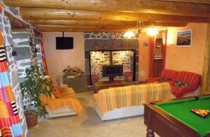 TV, fireplace, video games, DVD player