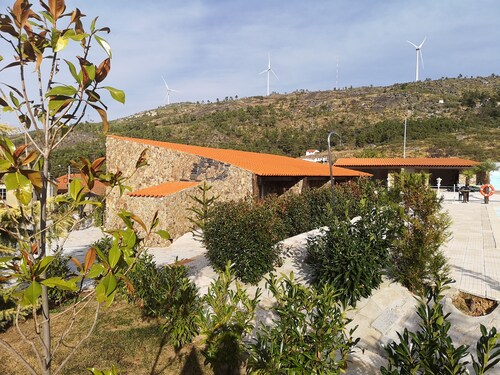 Rooms for Rent - Room 10