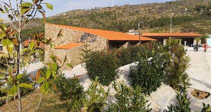 Rooms for Rent - Room 10