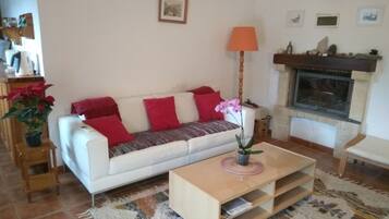 Televisie, een open haard, een dvd-speler en boeken