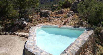 Der SCHATZ.(VTAR / GR / 01373)